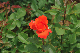 image0281