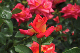 image0282