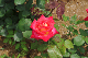 image0283