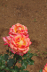 image0284