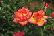 image0285