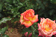 image0286