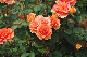 image0287