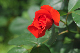 image0293