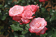 image0294