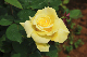 image0296