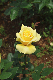 image0297