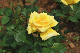 image0298