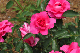 image0299