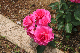 image0301