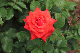image0303