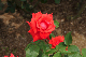 image0304