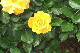 image0305