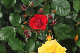 image0306