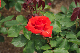 image0308