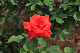 image0309