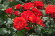 image0310