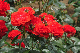 image0311