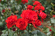image0312