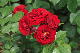 image0313