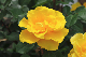 image0317