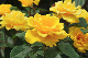 image0318
