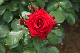 image0319