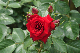 image0320