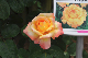 image0324