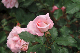 image0327