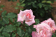 image0328