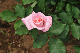 image0330