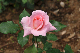 image0332