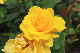 image0333