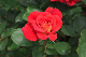 image0334