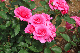 image0347
