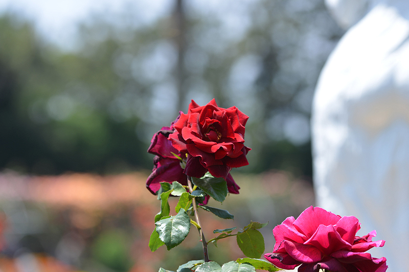 image0112