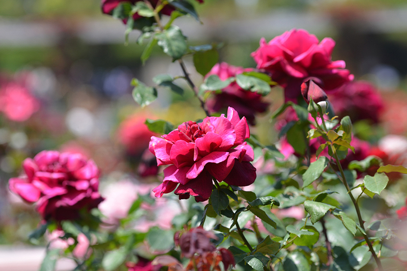 image0114