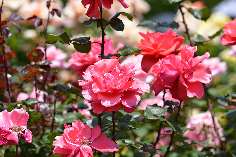 image0152