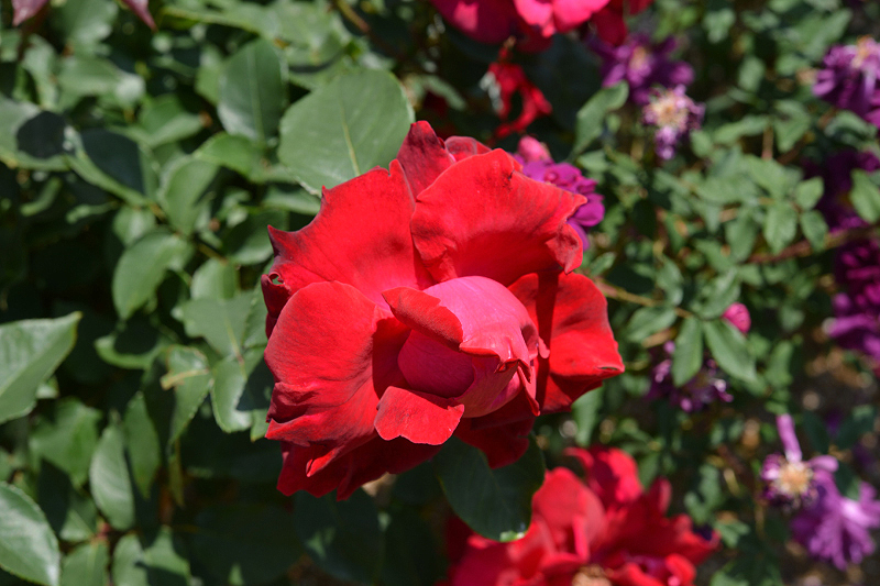 image0160