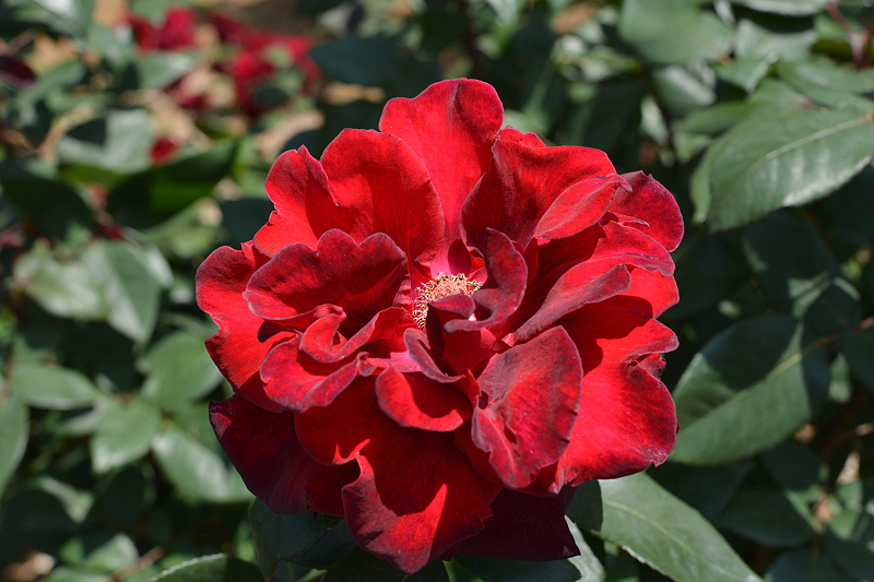image0163