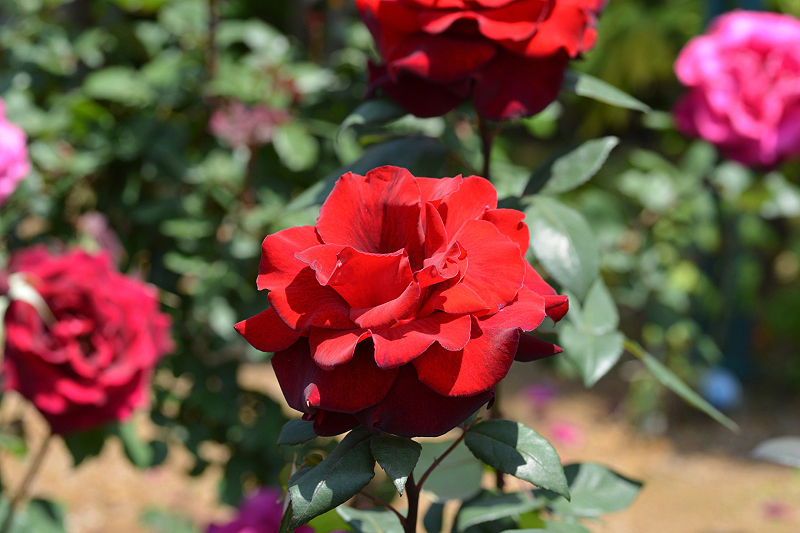 image0164