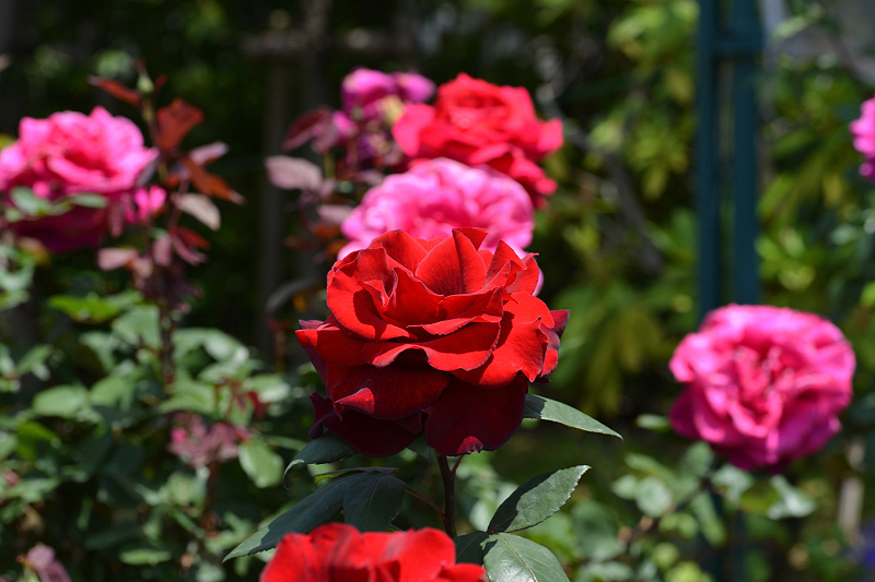 image0165