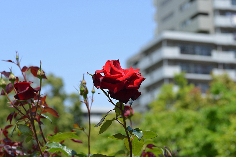 image0166