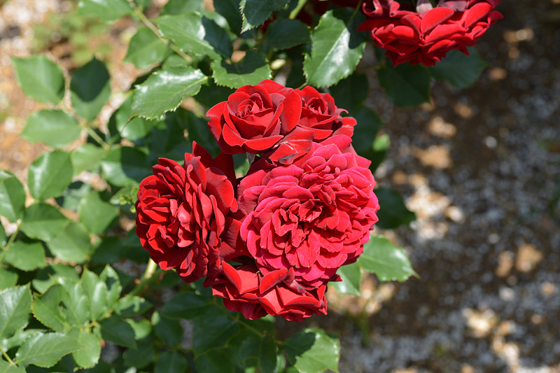 image0168