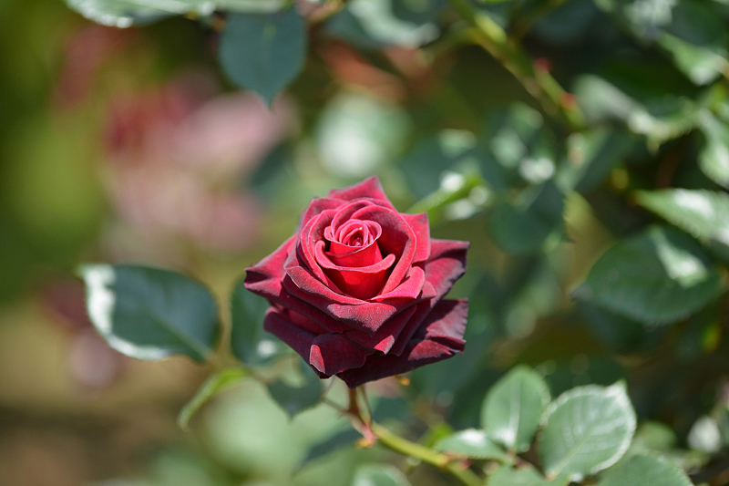 image0173