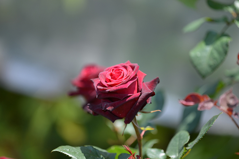 image0174