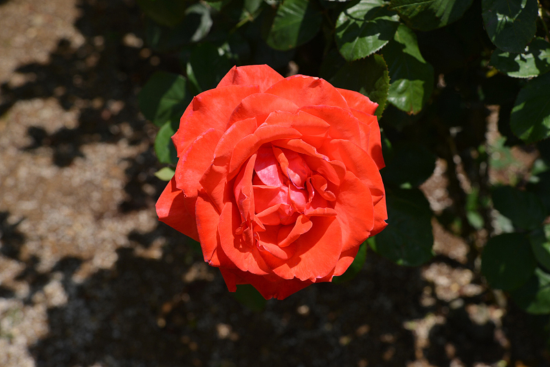 image0180
