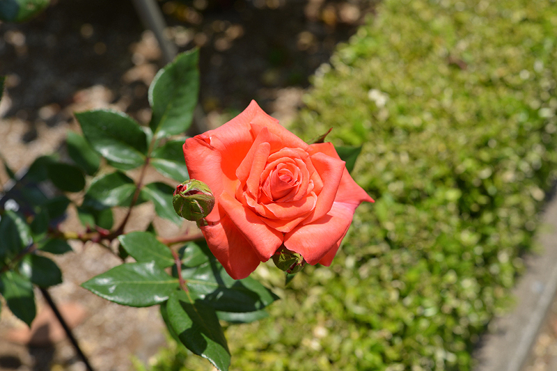 image0182