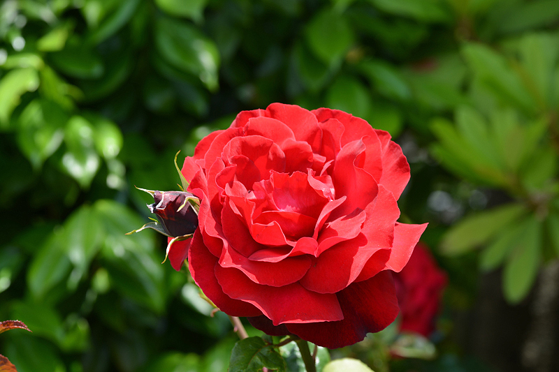 image0186